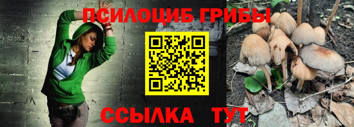 Галлюциногенные грибы мицелий  Вход с VPN  Озёры 